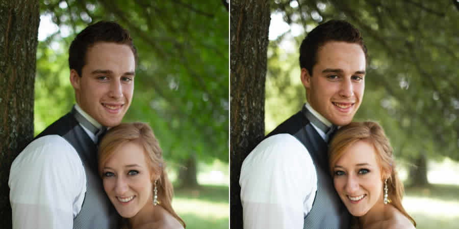 Take a Vow portrait free lightroom preset