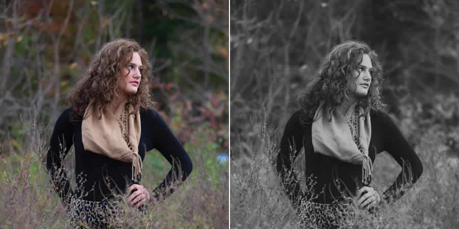 Shadowze portrait free lightroom preset