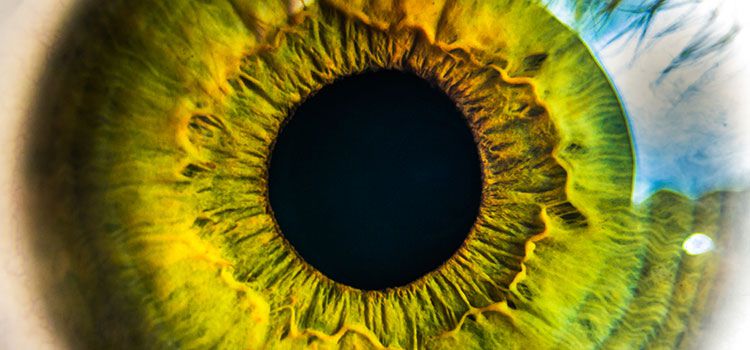 There are tools available to help emulate color blindness and other visual impairments.